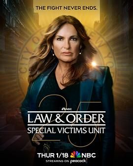 法律与秩序：特殊受害者 第二十五季第2集