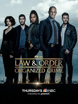 法律与秩序：组织犯罪 第三季第15集