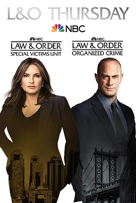 法律与秩序组织犯罪第二季第10集