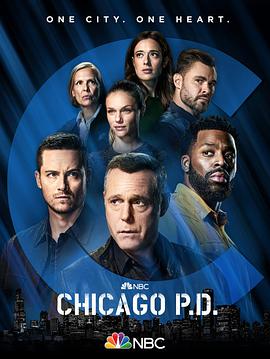芝加哥警署第九季第13集
