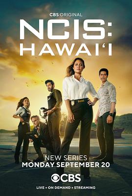 海军罪案调查处夏威夷第一季第4集
