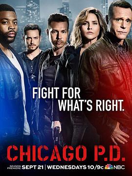 芝加哥警署第四季第09集