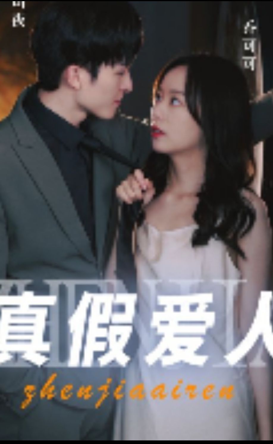 真假爱人21-40集