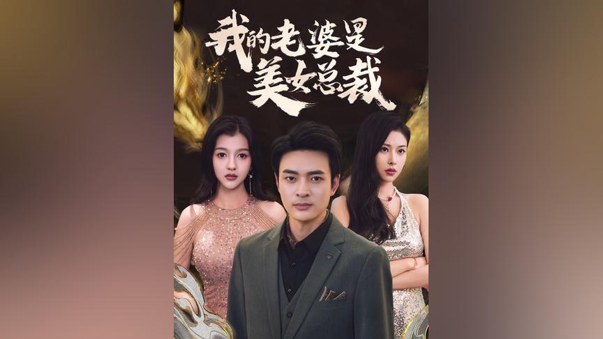 (新)我的老婆是美女总裁全集(大结局)