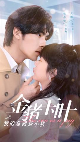 金猪玉叶之我的总裁是小猪第41-60集