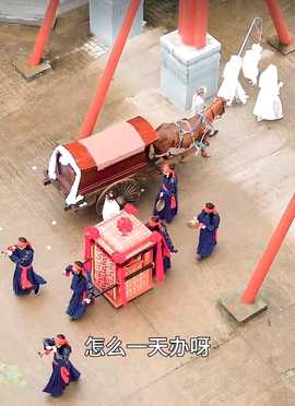 新：王妃她又美又飒103集全集(大结局)