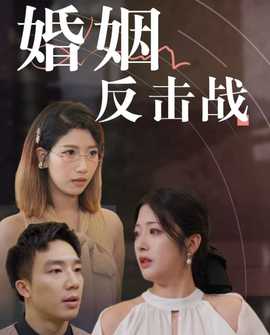 婚姻反击战第1-20集