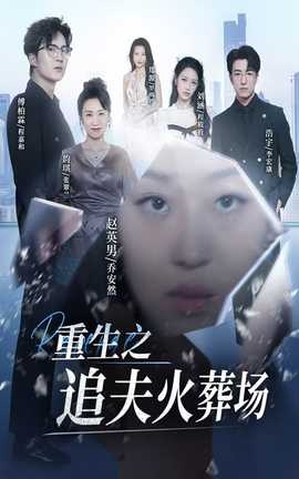 重生之追夫火葬场第1-20集