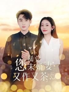 陆总您未婚妻又作又茶第61-80集