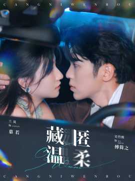 藏匿温柔第81-99集完结(大结局)