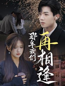 那年我们再相逢第21-40集