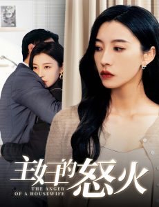 主妇的怒火第41-60集完结(大结局)
