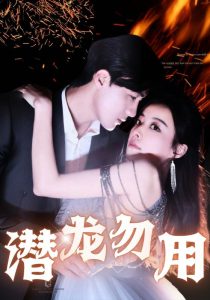 潜龙勿用第41-60集