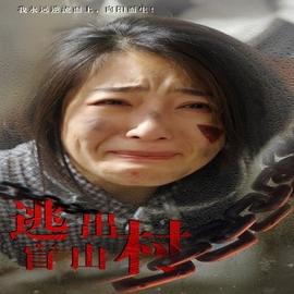 逃出盲山村第21-48集完结(大结局)