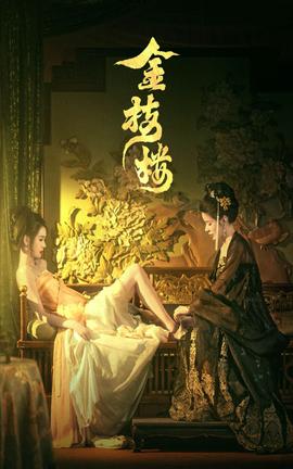 金枝楼第41-52集完结(大结局)