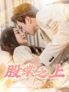 股掌之上第1-20集