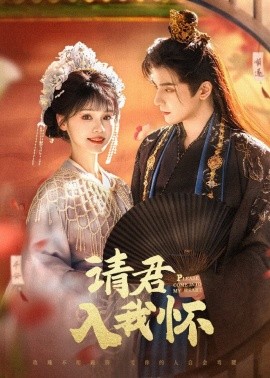 请君入我怀第1-20集