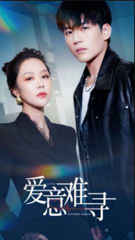 爱意难寻第1-20集