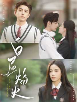 白昼焰火第81-100集完结(大结局)