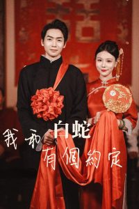 我和白蛇有个约定第21-40集