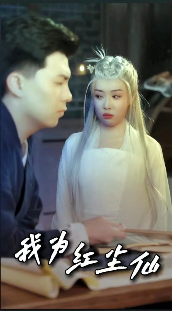 我为红尘仙第21-40集