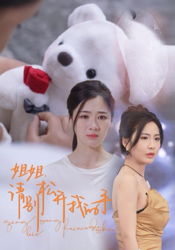 姐姐请别松开我的手第1-20集